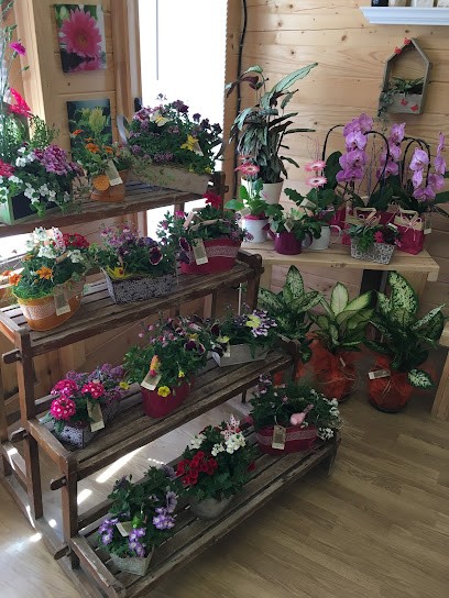 Au Jardin Des Quatre Saisons, Jardinerie à Noidans-le-Ferroux