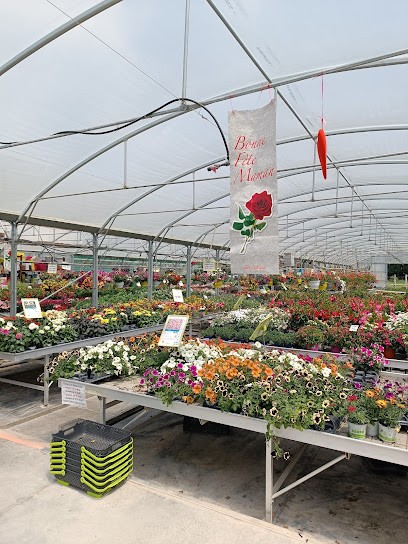 AQUATIQUES CAMARGUAISES, Jardinerie à Saint-Gilles