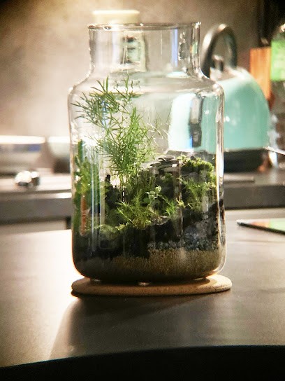 Naturel Concept, Jardinerie à Yerres