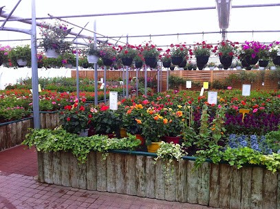 Les Serres De Pouillon, Jardinerie à Pouillon