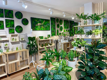 Natura Nova, Jardinerie à Puget-sur-Argens