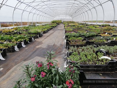 Plantes-Shopping, Jardinerie à Wilwisheim