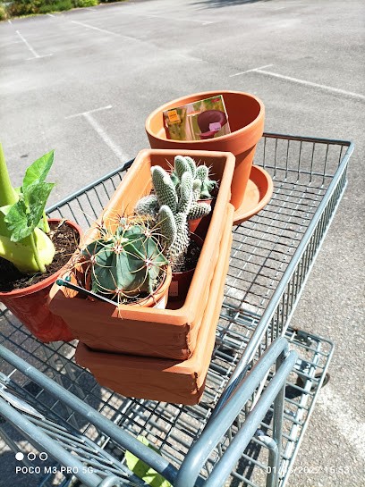 Pépinières Poupard - Groupe Grandiflora, Jardinerie à Saint-Gildas-des-Bois