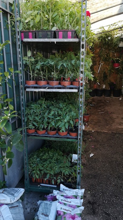 Jardinerie, Jardinerie à Talence