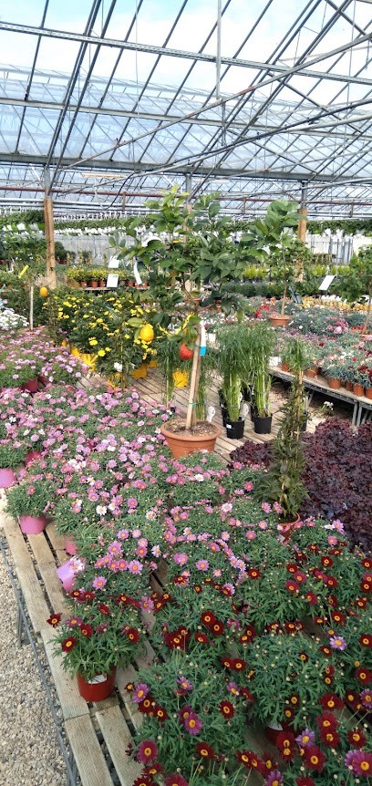 Les Jardins de Sologne, Jardinerie à Saint-Denis-en-Val