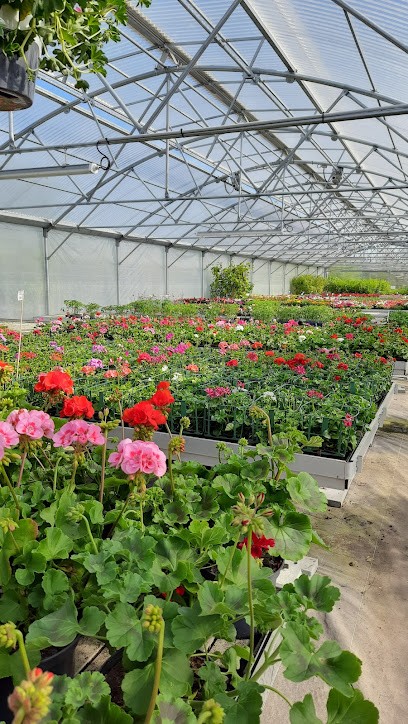 Julien Rousseau Joli Monde, Jardinerie à Pousseaux