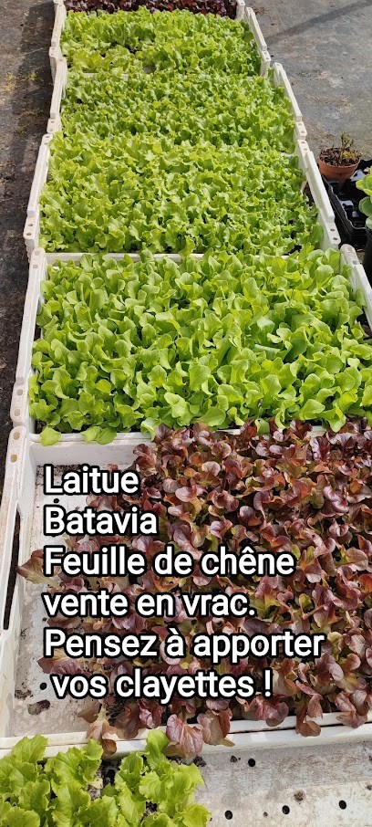 Bonenfant Yves Francis, Jardinerie à Plumaugat