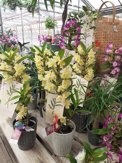 Les Serres De La Beviere, Jardinerie à Saint-Étienne-du-Bois