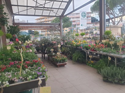 Gamm Vert, Jardinerie à Mandelieu-la-Napoule