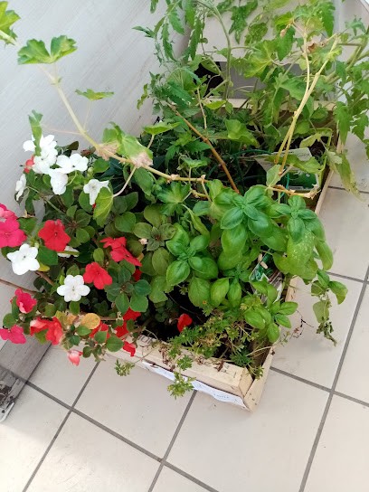 Gamm vert, Jardinerie à Sarbazan