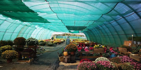 Aux Jardins de FabetSue, Jardinerie à Oust