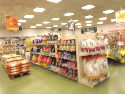 Point Vert, Jardinerie à Susmiou