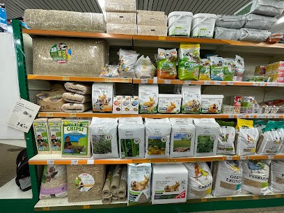 Point Vert SAINT RENAN, Jardinerie à Saint-Renan