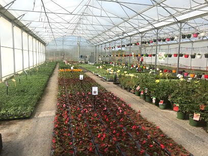Les Serres Des Champs Galottes, Jardinerie à Saint-Bris-le-Vineux