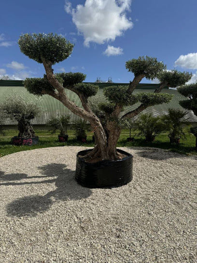 Arbres Et Plantes 10, Jardinerie à Charmont-sous-Barbuise