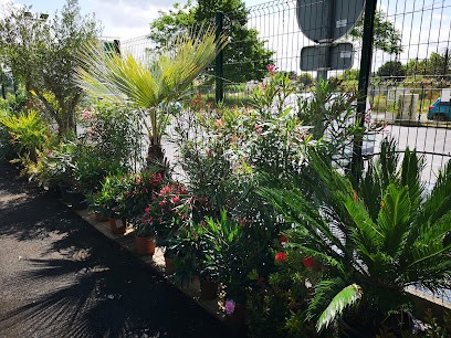 Gamm vert, Jardinerie à Saint-Sulpice-et-Cameyrac