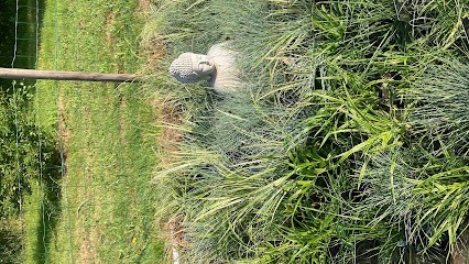 Cottage Garden Nursery, Jardinerie à Rancon