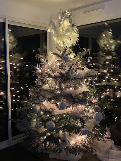 Ami Jardin, Jardinerie à Seclin