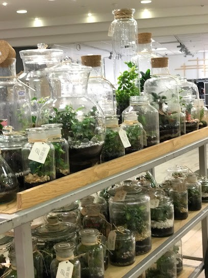 ADELAIDE AVRIL, Jardinerie à Paris 10