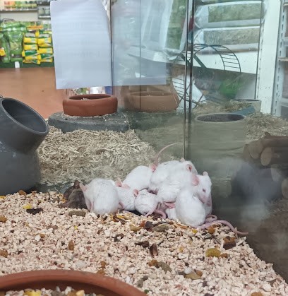 Baobab Vierzon (changement D'enseigne En Cours), Jardinerie à Vierzon