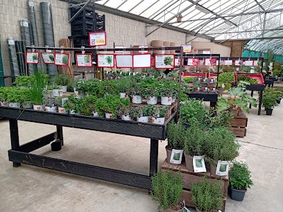 Les Botaniques Du Val Douve, Jardinerie à Saint-Sauveur-le-Vicomte
