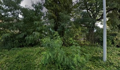 Netlon France, Jardinerie à Saint-Saulve