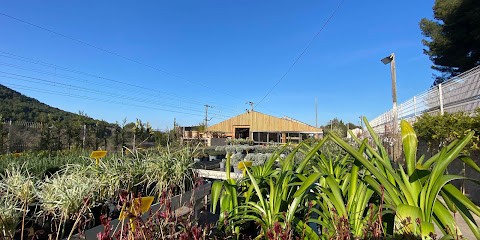 Jardinerie Terracotta, Jardinerie à Saint-Cyr-sur-Mer
