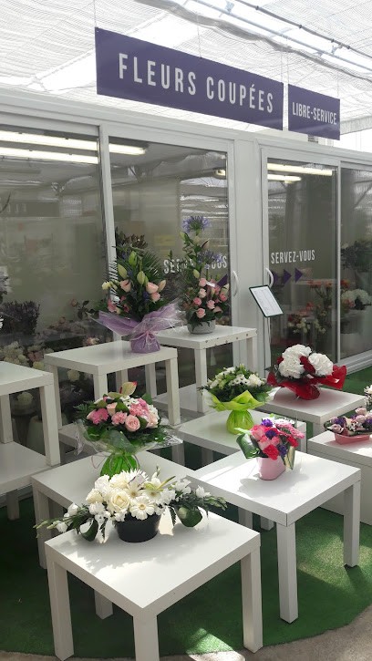 Véba Flor, Jardinerie à Oissery