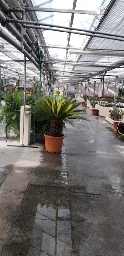 SuperPlan, Jardinerie à Berre-l'Étang