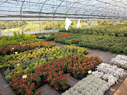 Gaec Bendix Jardinerie à Argentat-sur-Dordogne