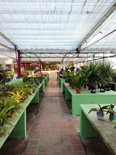 Jardinerie De L'Etang, Jardinerie à Berre-l'Étang