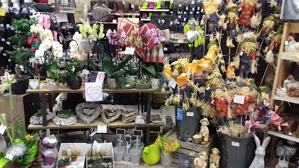 Gamm vert, Jardinerie à Maclas