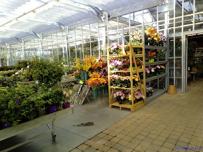 Jardinerie Du Lac, Jardinerie à Ploërmel