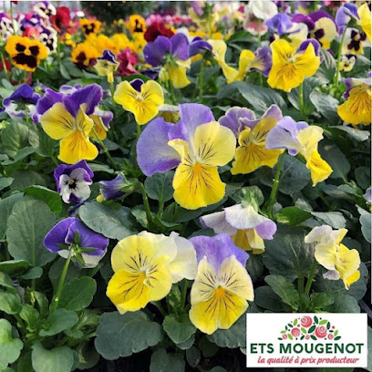 Ets Mougenot Jardinerie à Sarrebourg