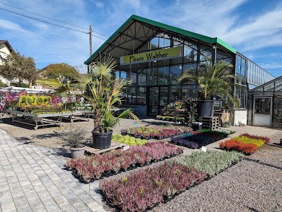 Fleurs Walther-Horticulteur-Jardinerie-Fleuriste, Jardinerie à Preuschdorf