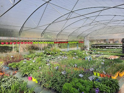 C.Baud Des Fleurs au Potager, Jardinerie à Sossais