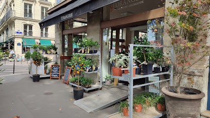 L'Orangerie - Jardinerie - Salon De Thé - Epicerie, Jardinerie à Paris 01