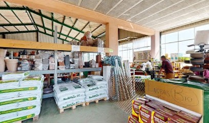Pépinière De Sainte-Tulle (Bonheur Jardin / Jardinerie Gonzalvez), Jardinerie à Sainte-Tulle