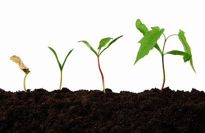 Compas Serzy Et Prin, Jardinerie à Serzy-et-Prin