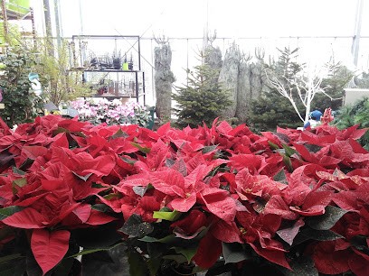 Ets Louit France Rurale, Jardinerie à Vic-Fezensac