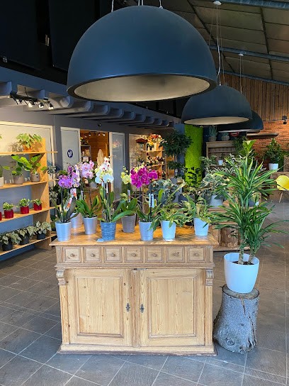 La Serre, Jardinerie à Schiltigheim