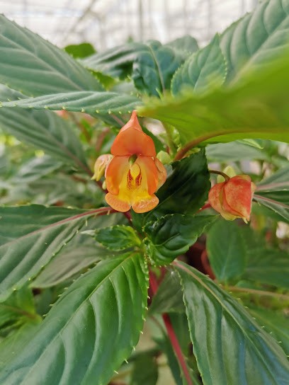 Les Jardins De Murat, Jardinerie à Voutezac