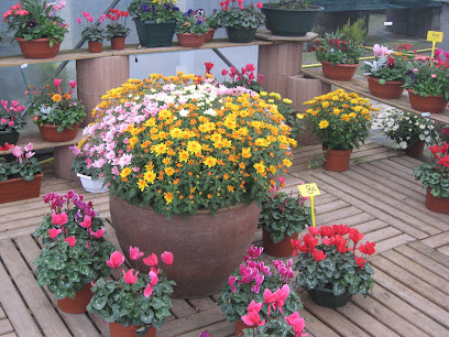Fleurs De Pin, Jardinerie à Pey