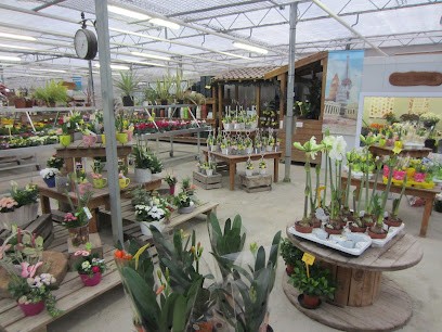 Serres Lemaire Alain, Jardinerie à Outreau