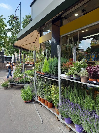 Jardinerie HERMES, Jardinerie à Neuilly-sur-Seine