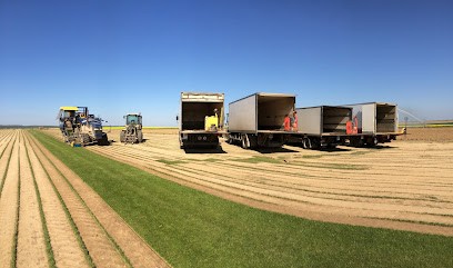 The Parisians Turf, Jardinerie à Neuilly-sur-Marne