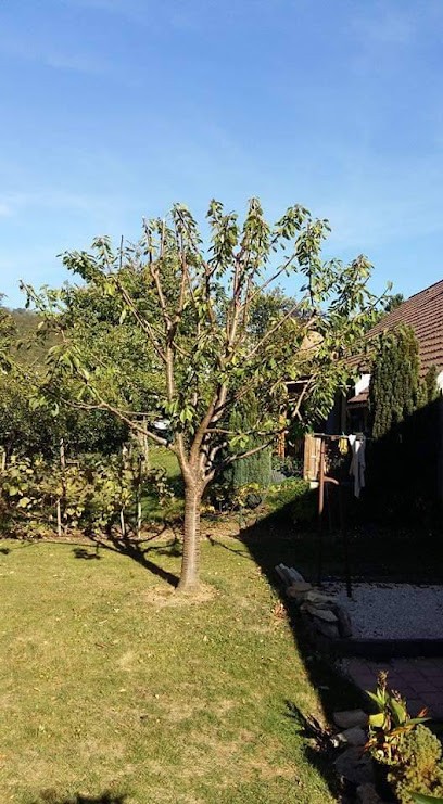 Baron Frederic, Jardinerie à Autechaux-Roide