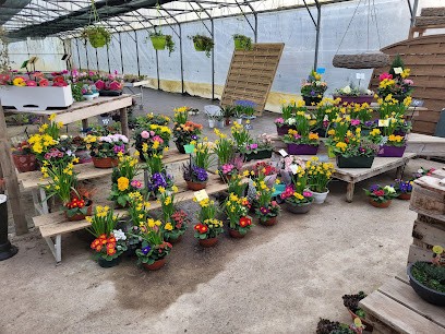 Fleurs Des Salines, Jardinerie à Marck