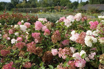 Pepiniere Amiot, Jardinerie à Muides-sur-Loire