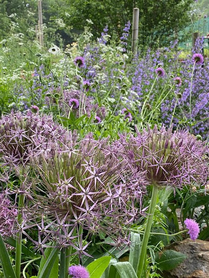 Fleurs De Terry, Jardinerie à Parisot